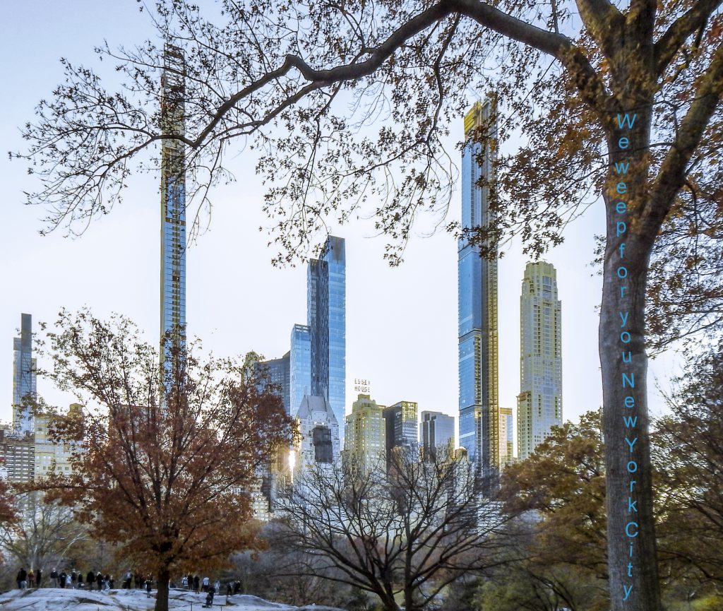 Photo of skyscrapers in New York City