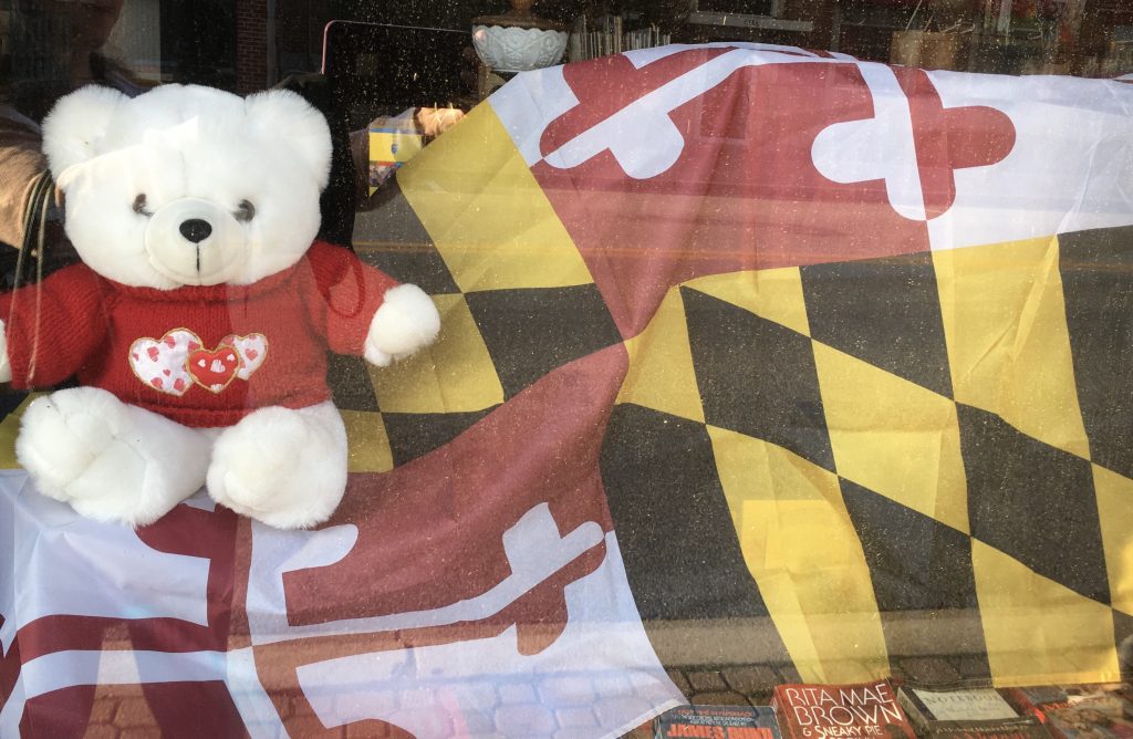 a teddy bear and a maryland flag in a store window