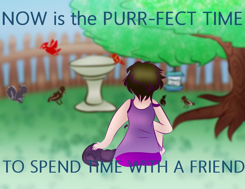 a woman sits on the grass with a cat, Now is the purr-fect time to spend time with a friend