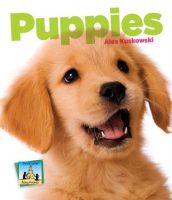 Puppies book cover