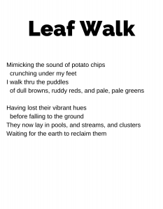 LEAF WALK Mimicking the sound of potato chips crunching under my feet I walk thru the puddles of dull browns, ruddy reds, and pale, pale greens Having lost their vibrant hues before falling to the ground They now lay in pools, and streams, and clusters Waiting for the earth to reclaim them