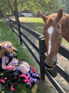 A young girl dressed in pink and purple in a wheelchair sits next to a fence with a brown horse on the other side