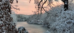River surrounded by snow covered trees, pink sky