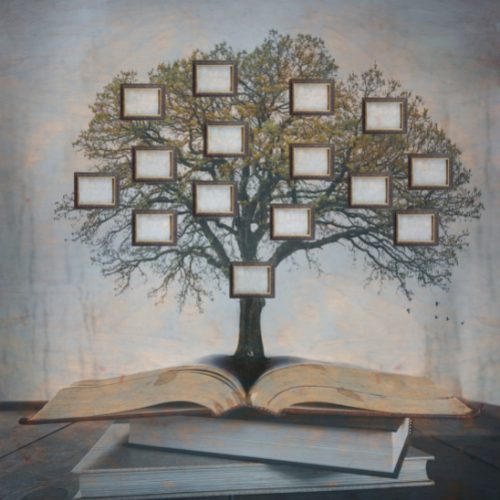 Family tree growing out of a book