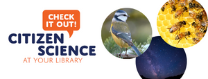 Check it out. Citizen Science at your Library. Image of bird, night sky, bees