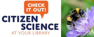 Check it out, Citizen Science at your Library. Image of a bee pulling pollen from a purple flower