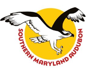 Southern Maryland Audubon logo