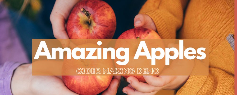 Amazing Apples: Cider Making Demo. Children's hands holding apples