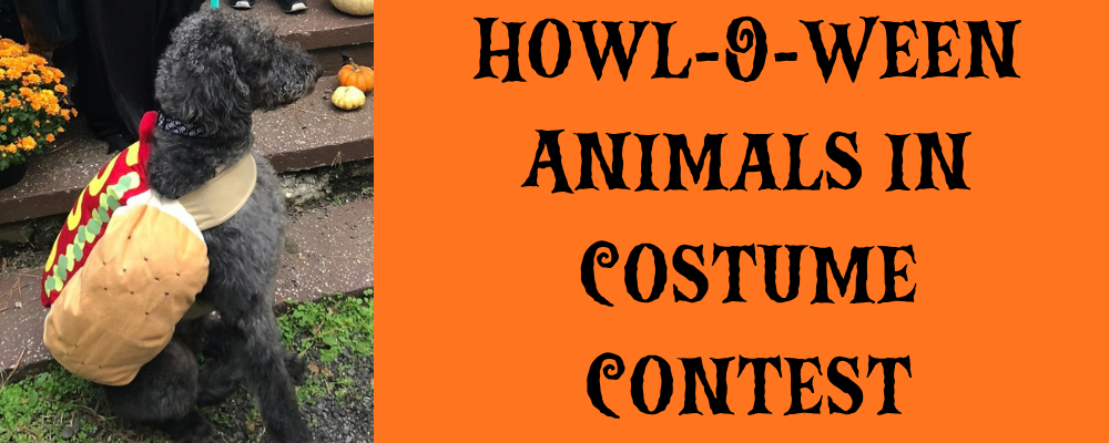 A black dog wearing a hot dog costume. More info about the Howl-O-Ween Animals in Costume Contest