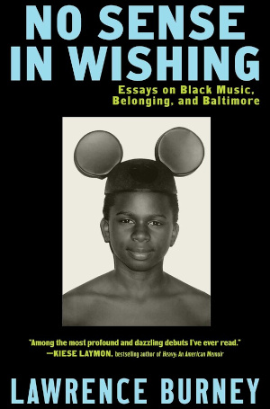 Book cover of Lawrence Burney's No Sense in Wishing