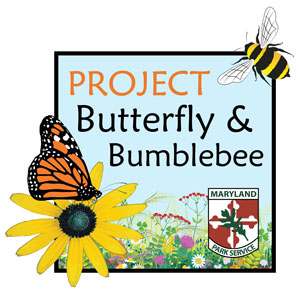 Project Butterfly and Bumblebee with Maryland Park Service logo. A butterfly sits on a yellow flower and a bee is near the top of the image.