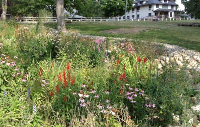 A garden in the foreground with a variety of colorful plants and flowers. A large white house stands in the background.