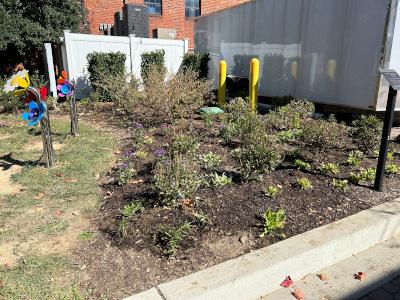 A butterfly garden with flower statues