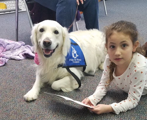 photo of a girl reading to a dog